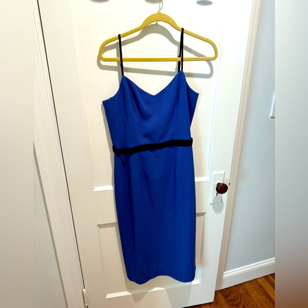 Dress the Population blue dress